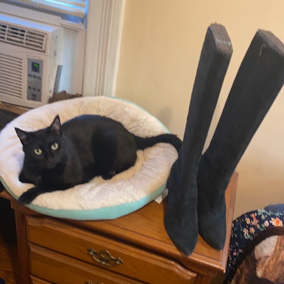 RENVY Knee High Boots - Picture 8 of 8